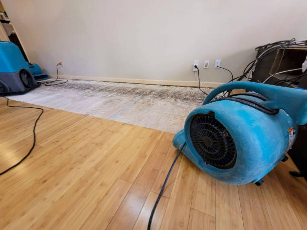 Professional Sewage Cleanup technician working in Salisbury, MD